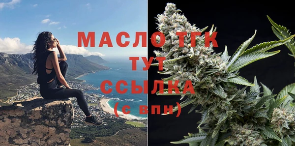 мяу мяу мука Аркадак